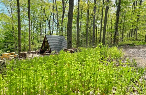 Sidney Cabin | Escapology - Delightful 1 bedroom A-frame cabin