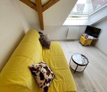 Mulhouse Apartment | Esprit Jaune - Cosy studio Salengro - Sauna & Sport club