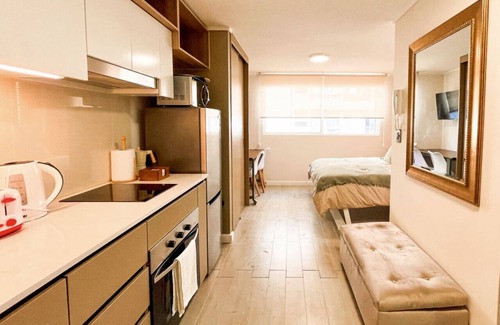 Downtown Santiago Apartment | Estudio Santa Elvira | Home Office Laundry Wifi