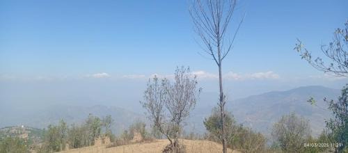 Kathmandu Valley Other | Everest Home Stay Temal Kalimati Tower