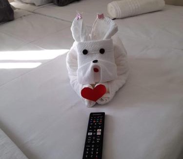 Bandeirantes Apartment | Evian Thermas Residence