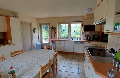 Budel-Dorplein House | EXCEPTIONAL summer and winter: 15,000 M2 property on the edge of a green zone