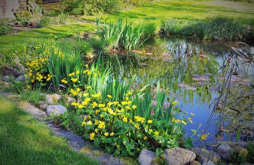 Region Hannover District Apartment | Exclusive country apartment with a beautiful garden