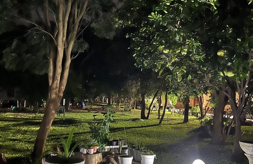 Lusaka Apartment | Exclusive Farm Getaway w/sauna, fire pit and massage chair
