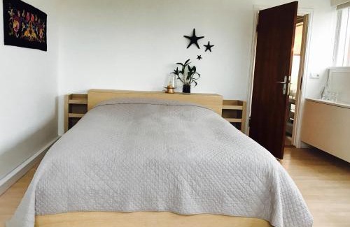 Alftanes House | Eyvindarholt Guesthouse