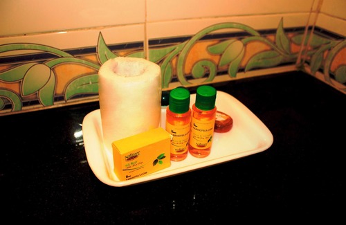 Kirti Nagar Hotel | Fabhotel Tulip Sarover