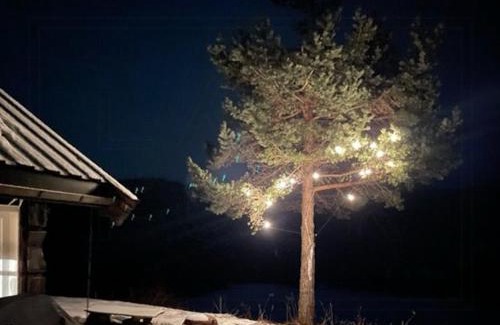 Sor-Aurdal House | Fairytale Cabin In The Heart Of Norway