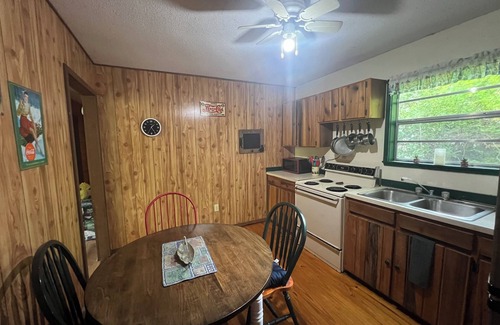 Almond Cabin | Fall Sale! Rustic Cabin Near Tail of Dragon, Hot Tub! Pets Ok! Community lake