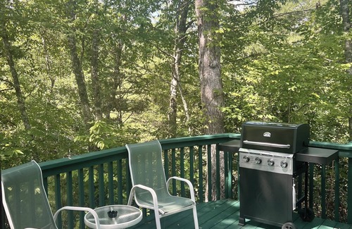 Almond Cabin | Fall Sale! Rustic Cabin Near Tail of Dragon, Hot Tub! Pets Ok! Community lake