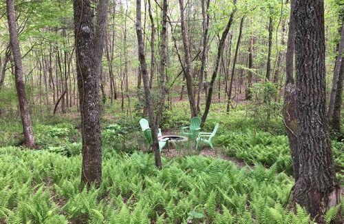 McCaysville Cabin | FALL SPECIAL! nnSpecial leaf-peeper prices!