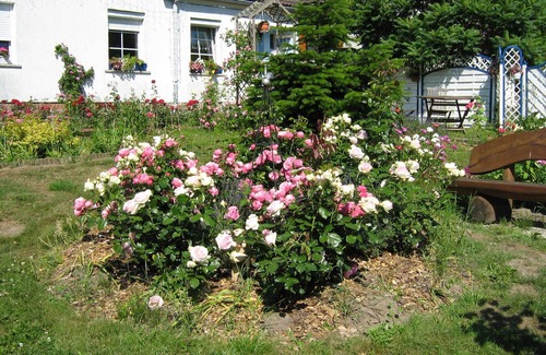 Rubkow Apartment | family friendly apartment with large garden - apartment