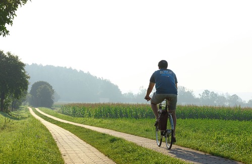 Buchelberg Apartment | Family-friendly vacation, ideal for cycling near Brombachsee (FeWo3)