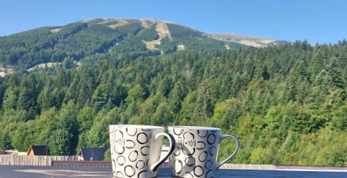 Bjelasnica Apartment | Family view