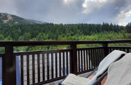 Bjelasnica Apartment | Family view