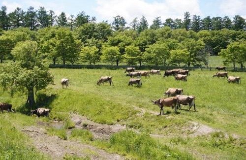 Biei Apartment | Farm Stay Chiyoda-Tenger