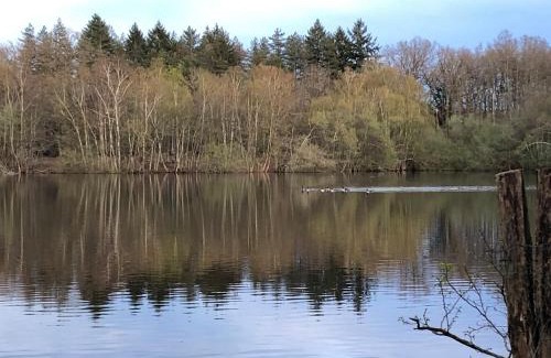 La Ferte-Saint-Cyr House | Farm with view, horses and castles, plain nature
