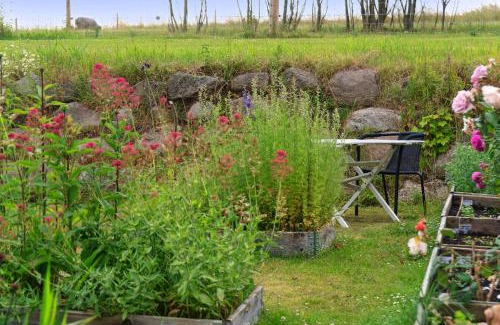 Svebolle Apartment | Farmens Gæstehus