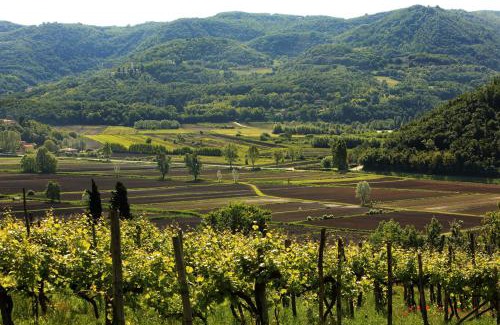 Arcugnano House | Fattoria Le Vegre