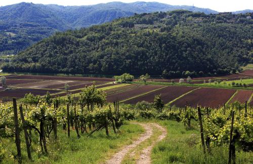 Arcugnano House | Fattoria Le Vegre