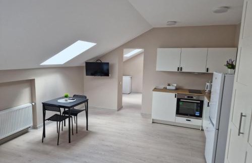 Plunge Apartment | FB Apartamentai