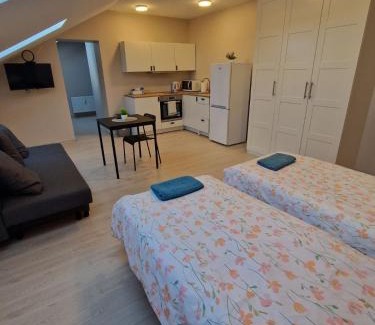 Plunge Apartment | FB Apartamentai