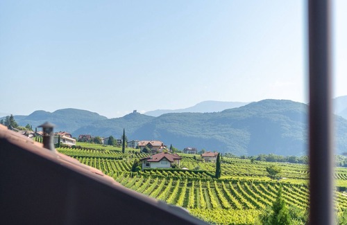 Tramin Apartment | Ferienwohnung Zwerger, NEU ab Mai 2024 Pool mit Salzwasser im Südgarten