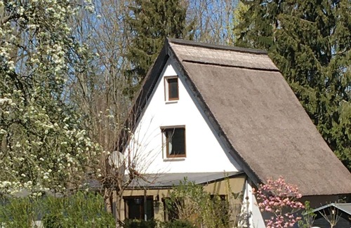 Stolpe Apartment | Ferienhaus Idyll im Naturpark