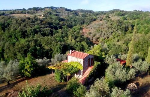 Roccastrada House | Ferienhaus IL-PINO