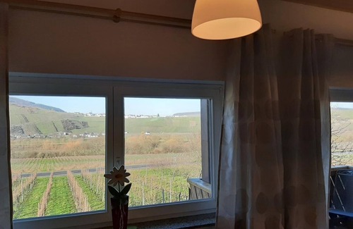 Brauneberg Apartment | Ferienwohnung 2 - Weingut Erz