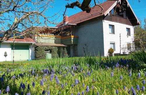 Waging am See Apartment | Ferienwohnung, 72 m², 1-2 Personen