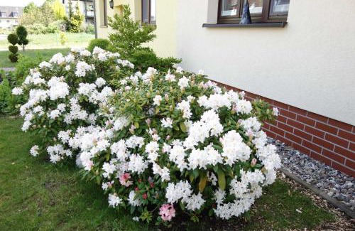 Muritz Apartment | Ferienwohnung "Baum"
