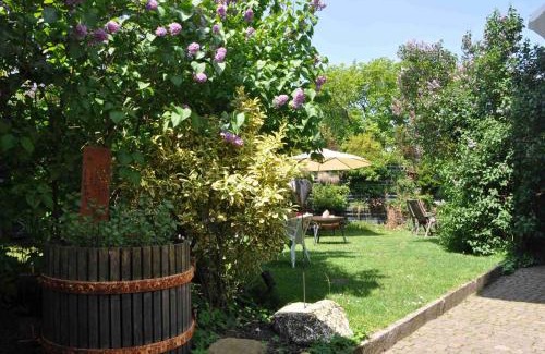 Haslach im Kinzigtal Apartment | Ferienwohnung Schwarzwald-Traum