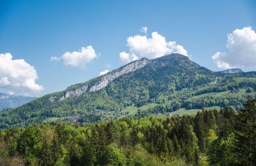 Bad Goisern Apartment | Ferienwohnung Glücksmomente