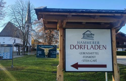 Siegsdorf Apartment | Ferienwohnung Hammer - Alpenblick
