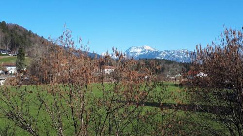 Siegsdorf Apartment | Ferienwohnung Hammer - Alpenblick