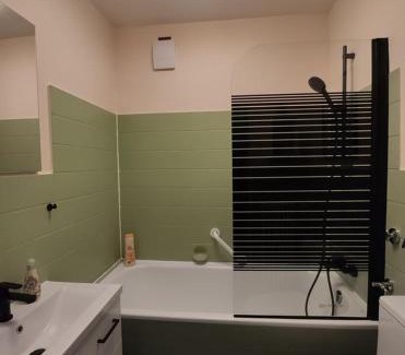 Hohegeiß Apartment | Ferienwohnung Harzluchs mit Balkon & Sauna im Haus
