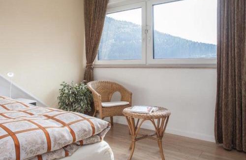 Niedersfeld Apartment | Ferienwohnung Hilleseeblick