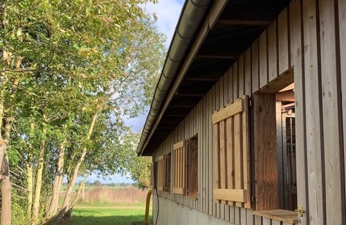 Staven Apartment | Ferienwohnung im Stutenstall - Ferien auf dem Reiterhof