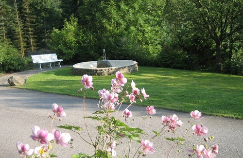 Nordenau Apartment | Ferienwohnung Nesselbachtal, 43qm, 1 Schlafzimmer, Max. 3 Personen