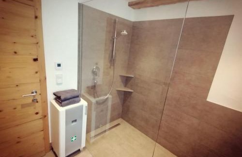 Mittersill Apartment | Ferienwohnung Oberkofler