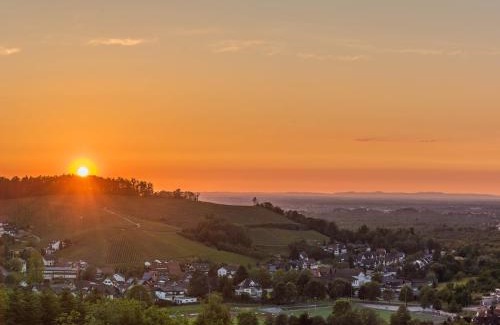 Kappelrodeck Apartment | Ferienwohnung Panorama-Suite