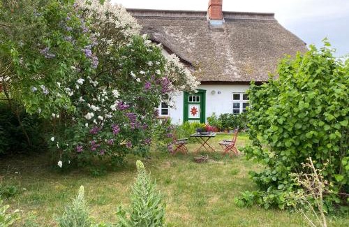 Wieck auf dem Darss Apartment | Ferienwohnung Sierke