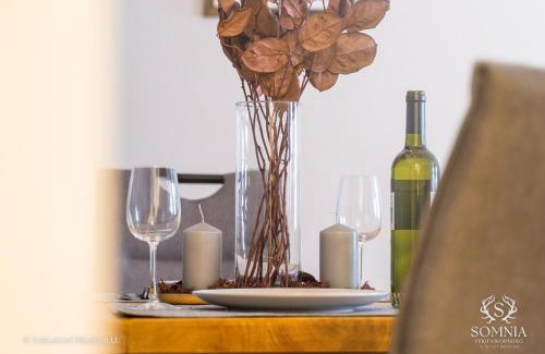 Gmunden Apartment | Ferienwohnung Somnia - Altstadt Gmunden