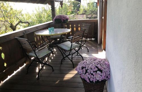 Hechenberg Apartment | Ferienwohnung Sonnenläng