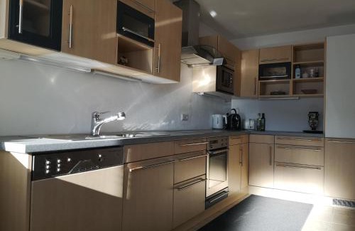 Ellboegen Apartment | Ferienwohnung Tanzer
