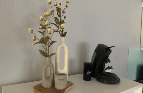 Andernach Apartment | Ferienwohnung Unterm Nastberg