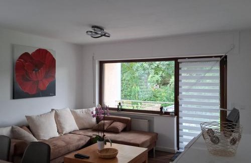 Mainz-Bingen Apartment | Ferienwohnung zu den Weinbergen