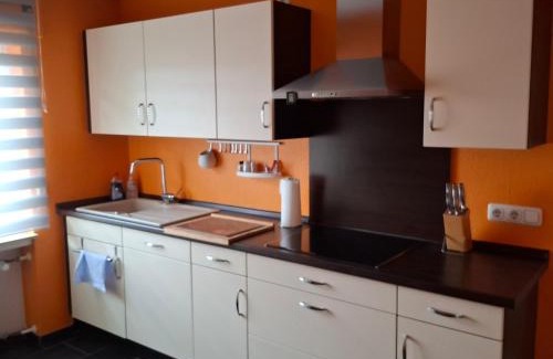 Mainz-Bingen Apartment | Ferienwohnung zu den Weinbergen
