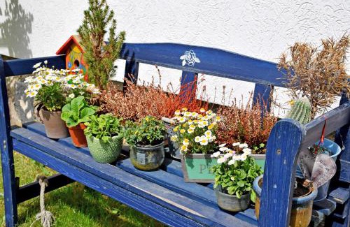 Thiessow Apartment | Ferienwohnungen Familie Looks