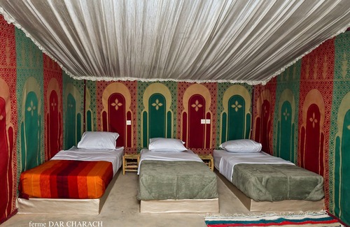 Tarmigt Other | FERME DAR CHARACH luxury tent in the heart of the palm grove